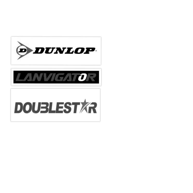 We stock dunlop lanvigator and doublestar tyres